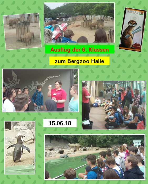 photogrid_1529340014815.jpg photogrid_1529340014815.jpg